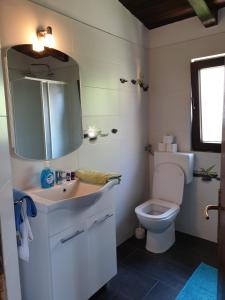 Apartments Helena Pomer