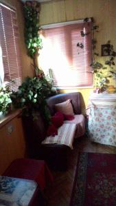 Пушкинская 1 комнатная, центр