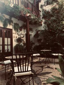 Casa longa