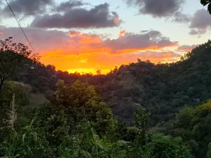 Prince Valley Guesthouse