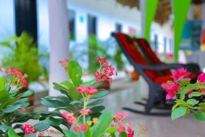 Casa Hotel Las Antillas