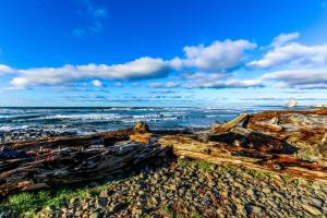 Seaside Serenity Near the Sea