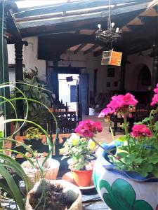 Hosteria Del Virrey - B&B