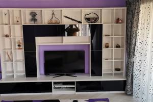 Luxury apartment with two bedrooms and large living room, 100 square meters, city center