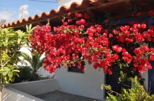 Villa Maria Samos Greece