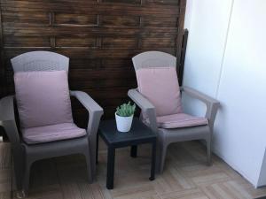 Appartements ZIBURU TERRASSE PARKING TOUT A PIED SAINT JEAN DE LUz : photos des chambres