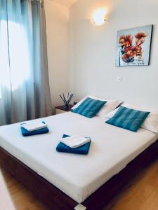 Villa Leticia in Tučepi, Private Pool