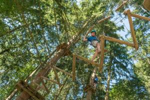 B&B / Chambres d'hotes Insolite dans les arbres Les Ormes, Epiniac : photos des chambres