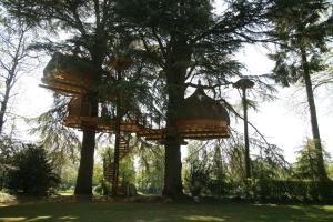 B&B / Chambres d'hotes Insolite dans les arbres Les Ormes, Epiniac : photos des chambres