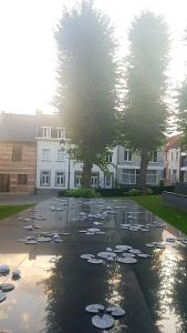 Het Begijnhof Tongeren