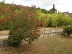 les noyers