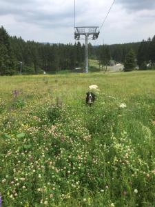 Haus Ina - Ferienwohnung Rondar