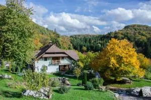 Miškar Rooms - Stari Trg pri Ložu