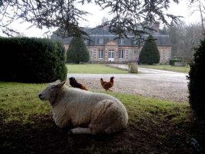 Maisons d'hotes Chambres d'hotes La Bourbelle : Suite Familiale