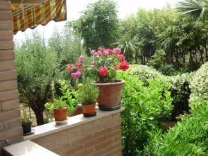 B&B Le Palme - Borgo