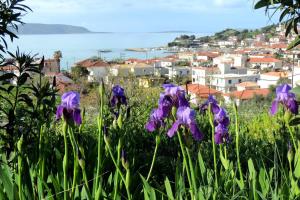 Schiza Houses Messinia Greece