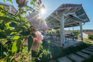 Hotels Hotel L'Ecrin 88 Vosges : photos des chambres