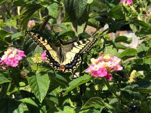 Appartamento in Villa Andreina img70