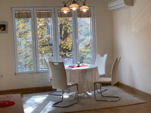 ViITOSHKA Apartment