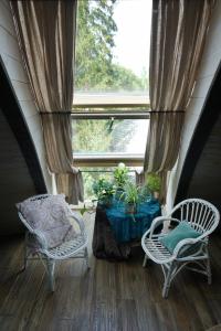 Kupolmāja Ārpus laika - Domehouse in the forest