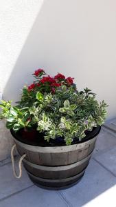 B&B Larco Fiorito