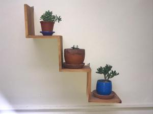 Casa de Juan y Violeta