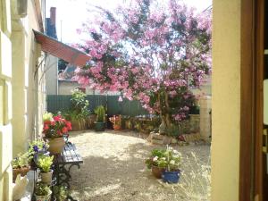 Les Trois Puits photo 15