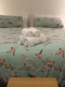 Garden Room near Brecon