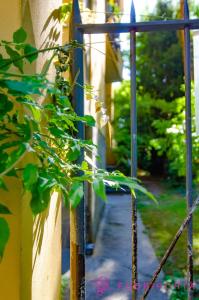 FuoriPorta Affitti Brevi - Residenza Bolzoni Avio