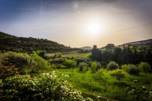 La Tinaia Country House img36