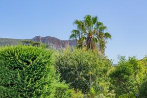 Appartements Le Club par Dodo-a-Cassis : photos des chambres