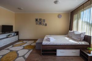 RIVERSIDE APARTMENTS PLOVDIV with free parking