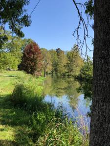 Maisons de vacances Chaumiere de la Perelle a Hondouville : photos des chambres