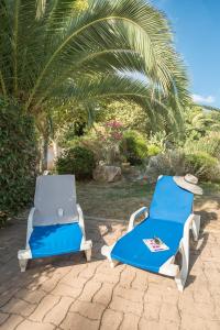 Campings Camping Le Mediterranee Argeles - Domaine pietonnier : photos des chambres