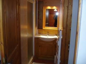 CHALET DANS LA NEIGE EDELWEISS ARCs 2000