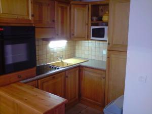 CHALET DANS LA NEIGE EDELWEISS ARCs 2000