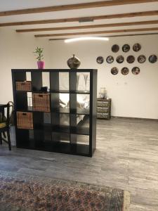 Appartement Studio 50 m2 avec accès terasse La Neuveville Schweiz