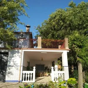 La Isabelita - Solana del Pino