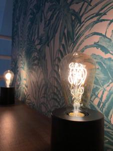 Appartements Le Panorama : photos des chambres