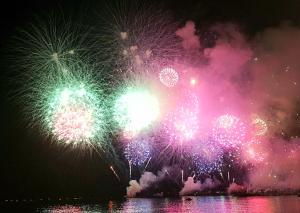 Appartements Le Panorama : photos des chambres