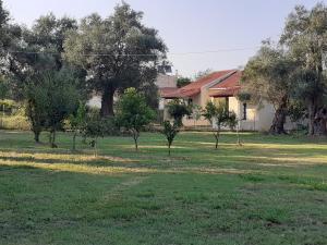 Amelia's Garden Corfu Greece