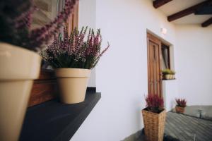 Zakopiańska Stodoła