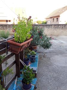 Maisons de vacances Gite De La Ferme : photos des chambres