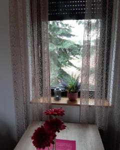 Apartman Nana Svetogorska 19 ,stan 17