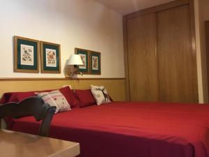 LA COMA DE ALBA -NUEVO-