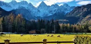 Mountain peaks Apartment with Sauna - 戈德马图杰克