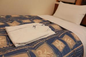 Hotel Ikeda