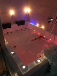 Appartements Nid a bulles - Loft 35m2 sauna jacuzzi 10min centre Strasbourg : photos des chambres