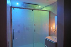 Appartements Nid a bulles - Loft 35m2 sauna jacuzzi 10min centre Strasbourg : photos des chambres