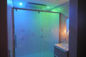 Appartements Nid a bulles - Loft 35m2 sauna jacuzzi 10min centre Strasbourg : photos des chambres